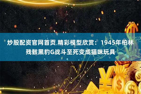 炒股配资官网首页 精彩模型欣赏：1945年柏林残骸黑豹G战斗至死变成猫咪玩具