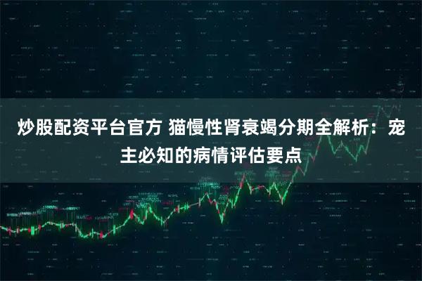 炒股配资平台官方 猫慢性肾衰竭分期全解析：宠主必知的病情评估要点