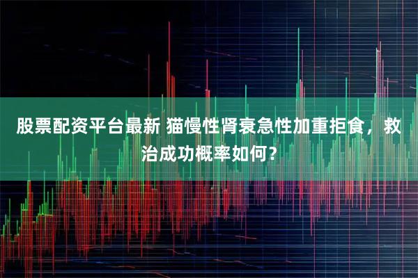 股票配资平台最新 猫慢性肾衰急性加重拒食，救治成功概率如何？